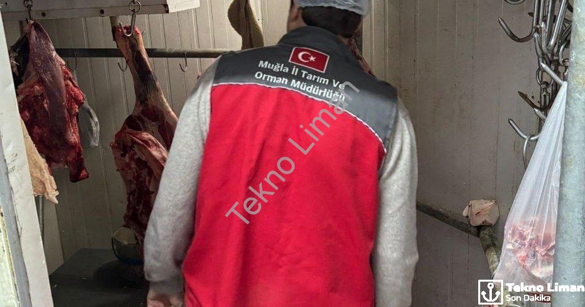 "Menteşe'de Gıda Güvenliği Seferberliği: Kasaplara Sıkı Denetim" başlıklı haber için fotorealistik,