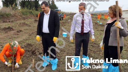 Dalaman Açık Cezaevi’nde Tarımsal Hamle: Sakız Ağacı Bahçesi Kuruldu