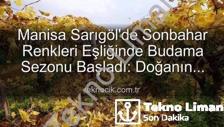 Sarıgöl’de Sonbahar Büyüsü: Budama Mevsimi Kartpostal Manzaralar Eşliğinde Başladı