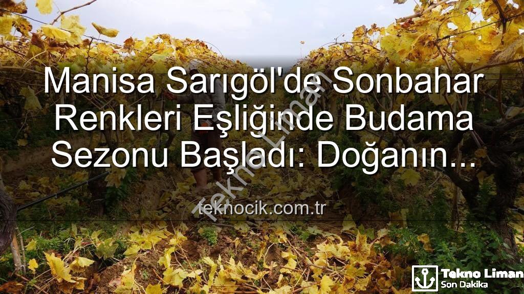 Sarıgöl budama - Sarıgöl'de Sonbahar Büyüsü: Budama Mevsimi Kartpostal Manzaralar Eşliğinde Başladı