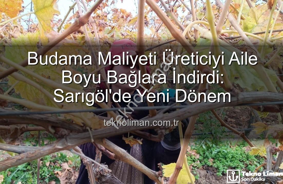budama maliyeti - Budama Maliyeti Üreticiyi Aile Boyu Bağlara İndirdi: Sarıgöl'de Yeni Dönem