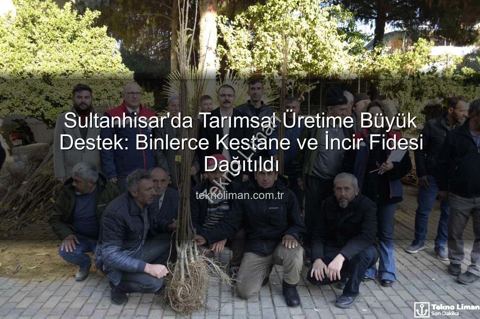 kestane incir fidesi - Sultanhisar'da Tarımsal Üretime Büyük Destek: Binlerce Kestane ve İncir Fidesi Dağıtıldı