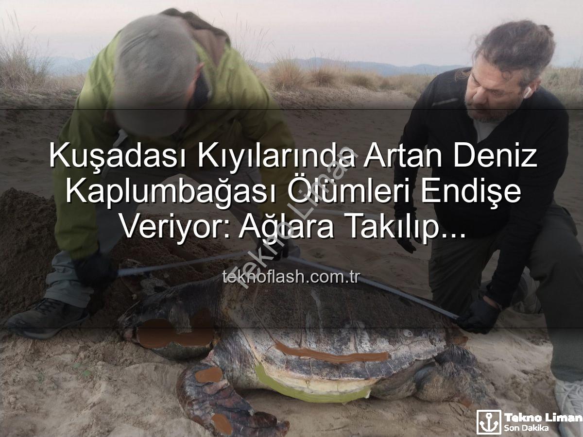 deniz kaplumbağası ölümleri - Kuşadası Sahillerinde Endişe Veren Durum: Bir Haftada Üç Deniz Kaplumbağası Ölü Bulundu