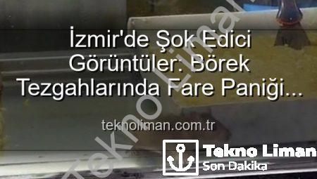 İzmir’de Şok Edici Görüntüler: Börek Tezgahlarında Fare Paniği ve İşletmeye Mühür
