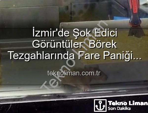 İzmir börekçi fare - İzmir'de Şok Edici Görüntüler: Börek Tezgahlarında Fare Paniği ve İşletmeye Mühür
