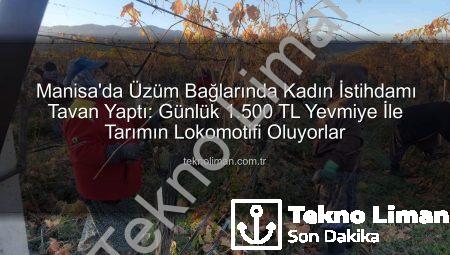 Manisa’da Üzüm Bağlarında Kadın İstihdamı Tavan Yaptı: Günlük 1.500 TL Yevmiye İle Tarımın Lokomotifi Oluyorlar
