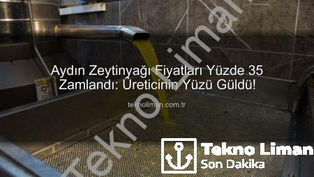 Aydın Zeytinyağı Fiyatları Yüzde 35 Zamlandı: Üreticinin Yüzü Güldü!